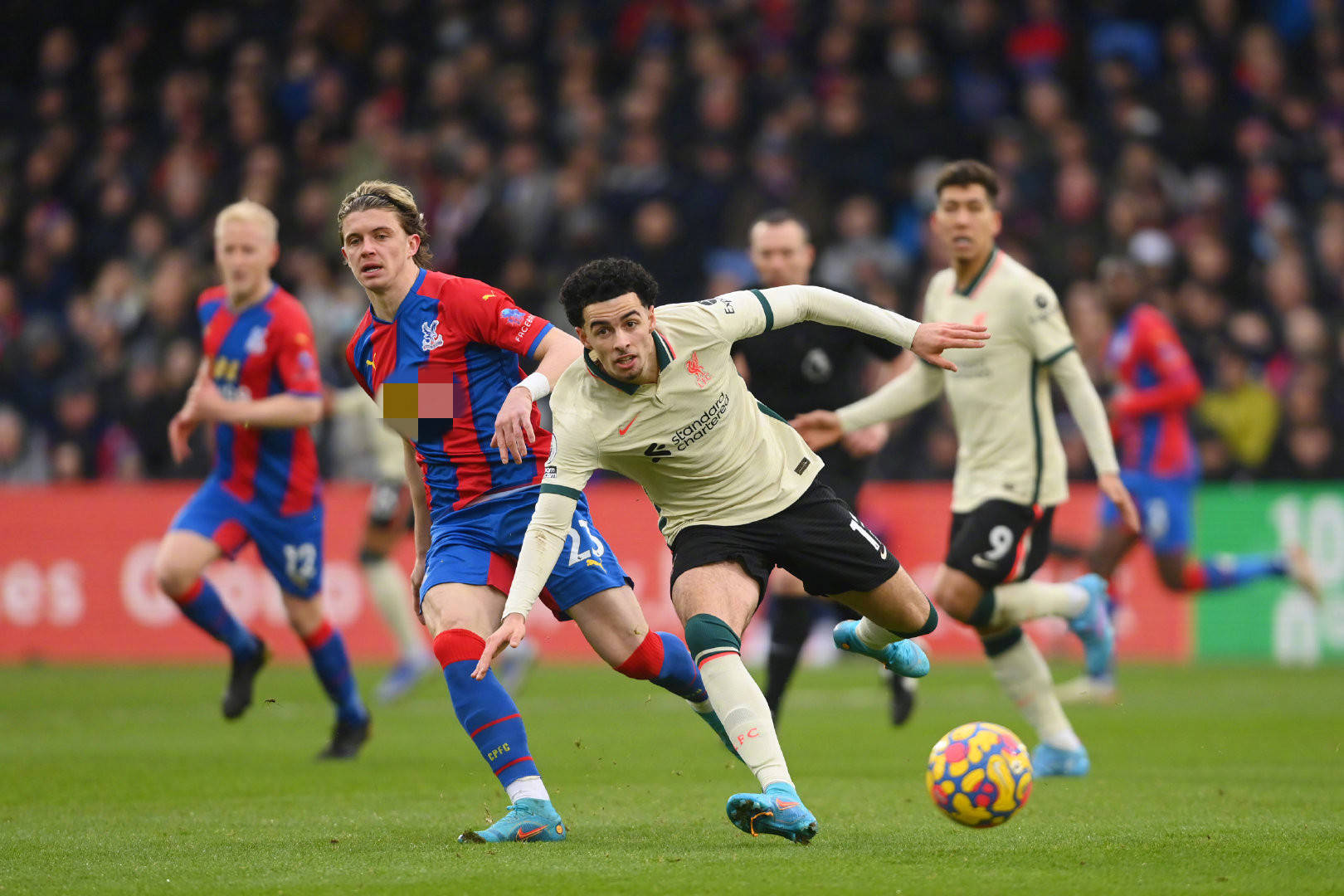 不仅是一场 不仅是一场